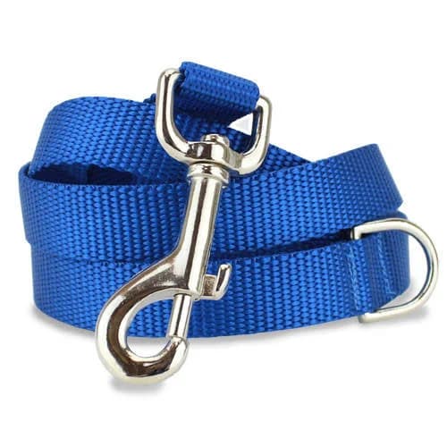 Blue Nylon Dog Leash