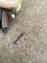 Video frame trigger