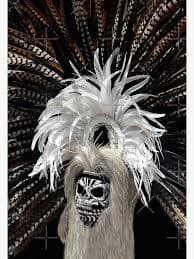 Poster for Sale mit "Pow Wow Kopfschmuck der amerikanischen Ureinwohner" von heatherfriedman | Redbubble