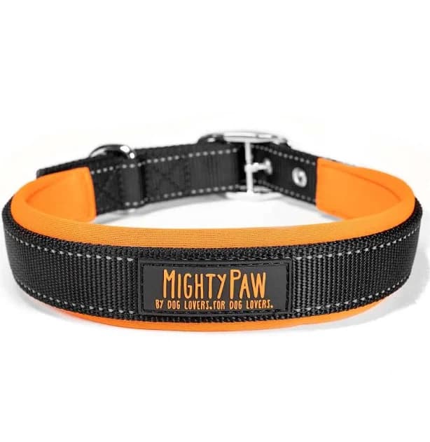 Sport Collar 2.0