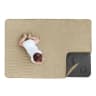 Video frame trigger