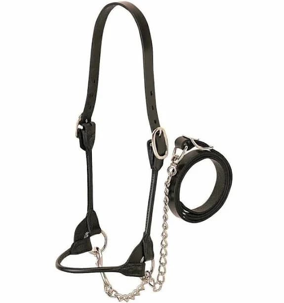 English Black Leather Show Halter With Silver Fitting With Lead Chain