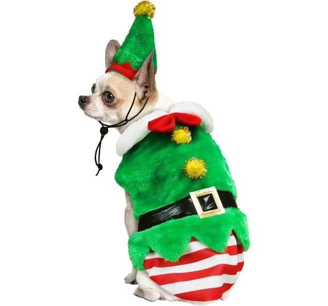 Best Furry Friends Elf Pet Costume