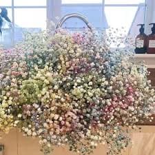 Real Touch Wedding Decoration - Preserved Gypsophila Flowers