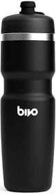 Bivo Trio