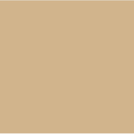 Video frame trigger