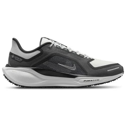 Nike Men's Pegasus 41 GORE-TEX