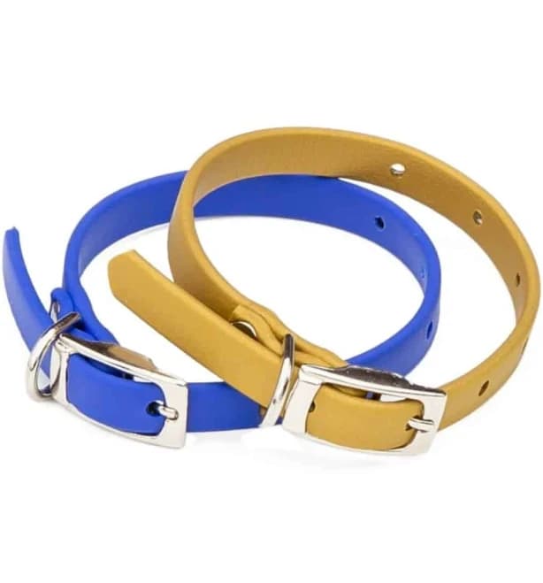 Beta Puppy Collar