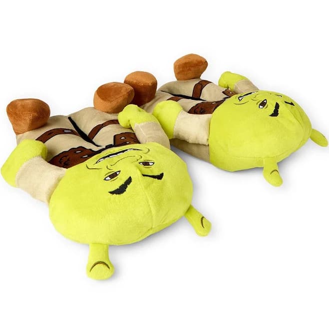 Spencer's Shrek Slippers
