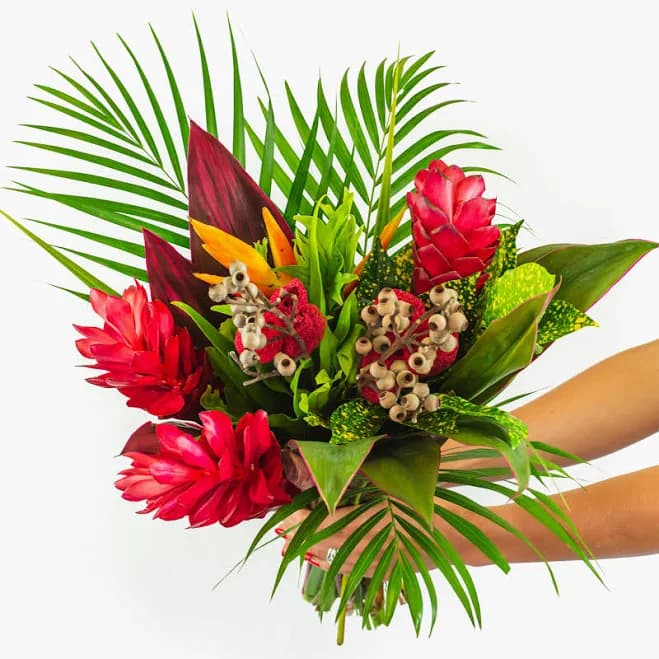 Jewel of the Rainforest by BloomsyBox | BloomsyBox | Wholesale Delivery near me in ... | Delivery near me in ... Farm2Me