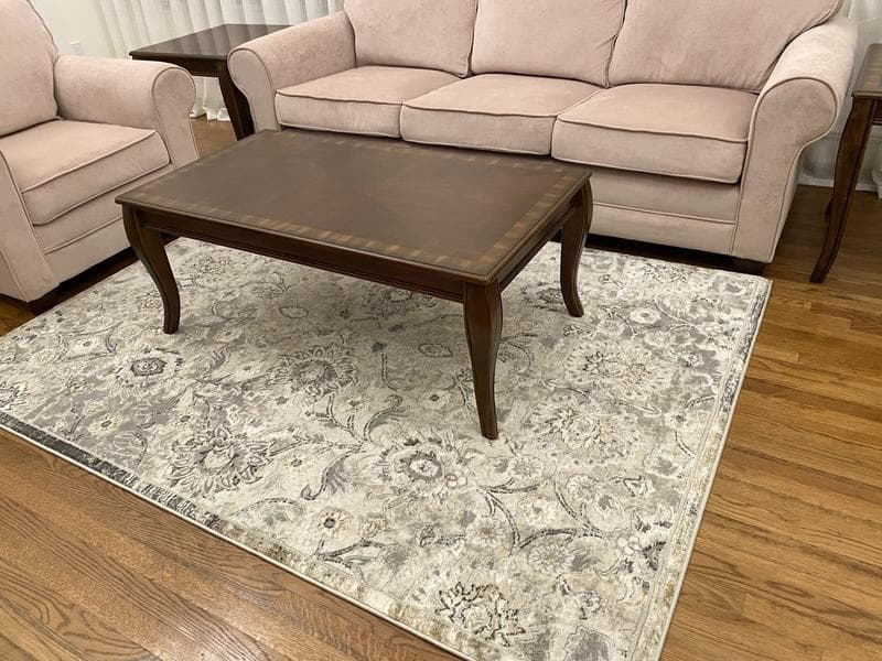 allen + roth with STAINMASTER Delft 4 X 6 (ft) Gray Indoor Medallion Oriental Area Rug 671392 at Lowes.com