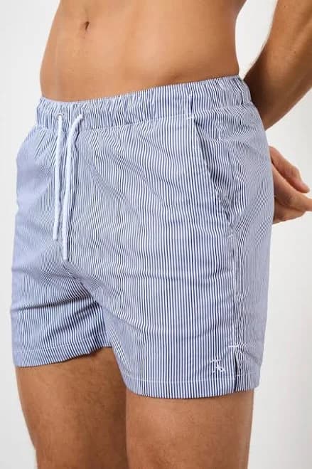 Fine Stripe Swim Shorts
