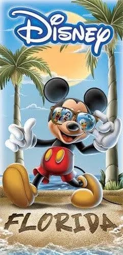 Disney Mickey Mouse Florida Beach Towel
