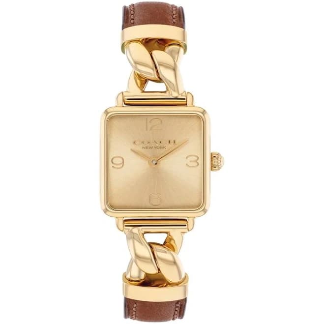 Coach Women's Cass Stainless Steel Watch with Brown Leather Strap