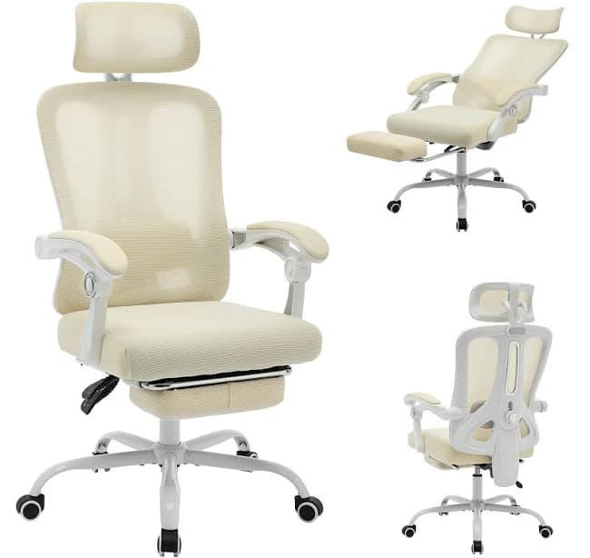 Ergonomic Office Chair with Adjustable Lumbar Support and Footrest