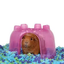 carefresh® Sea Glass Small Pet Bedding, 23 Liters | Pet Supplies Plus