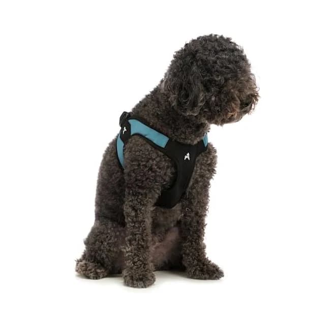 Gooby Escape Free Easy Fit Harness