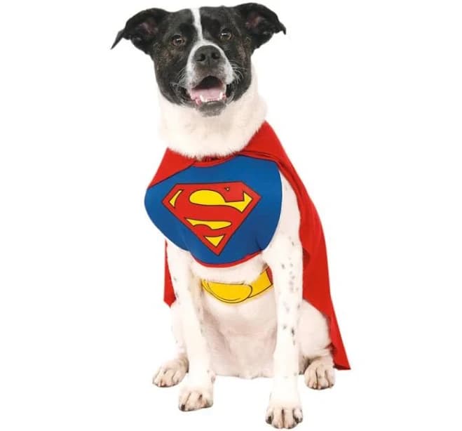 Rubie's Superman Dog Costume