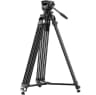 Video frame trigger