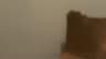 Video frame trigger