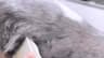 Video frame trigger