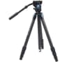 Video frame trigger