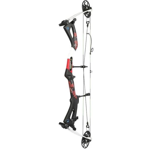SHENGSUAN DAWN X6 Carbon Compound Hunting Bow 0-70 lbs