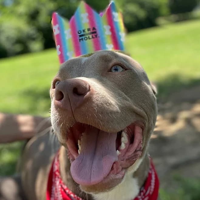 Glitter Party Hats