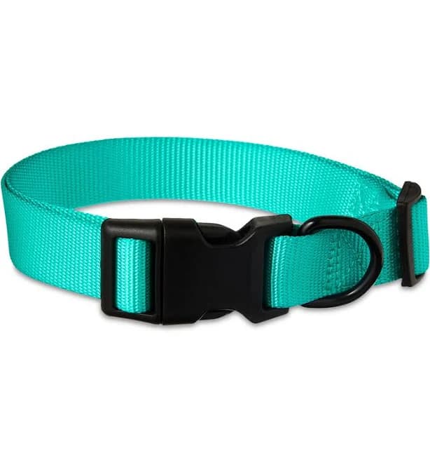 Vibrant Life Adjustable Dog Collar