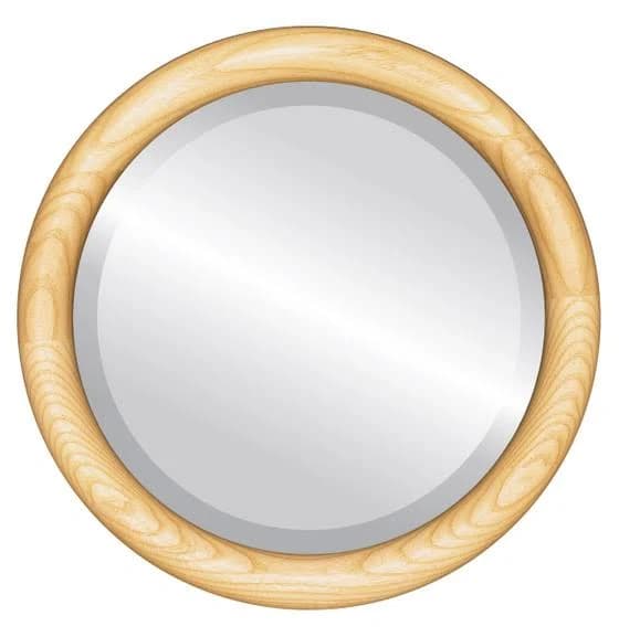 Simple & Modern Designs Sydney Framed Round Mirror
