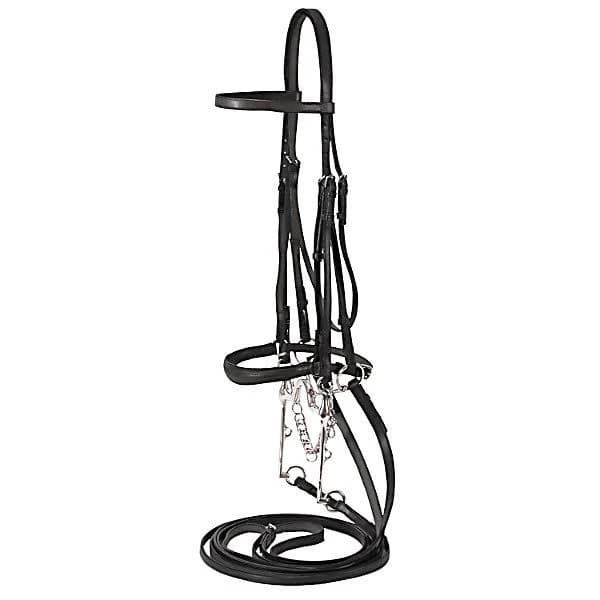 Silver Fox Weymouth Show Bridle