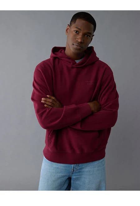 AE Laidback Luxe Heavyweight Graphic Hoodie