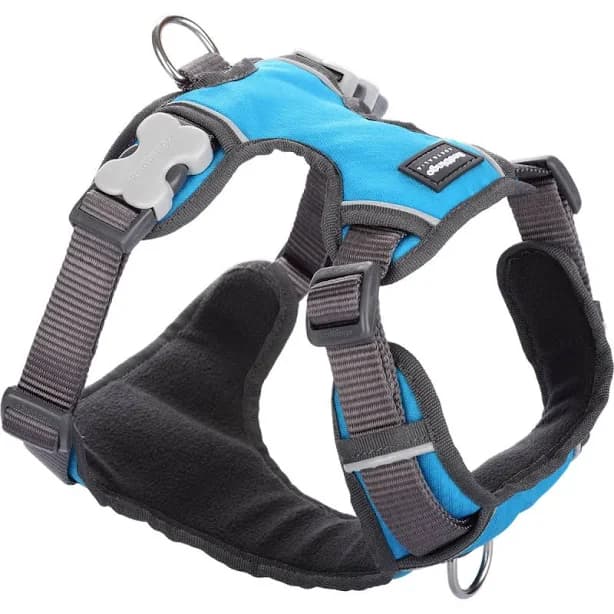 Red Dingo Padded Dog Harness