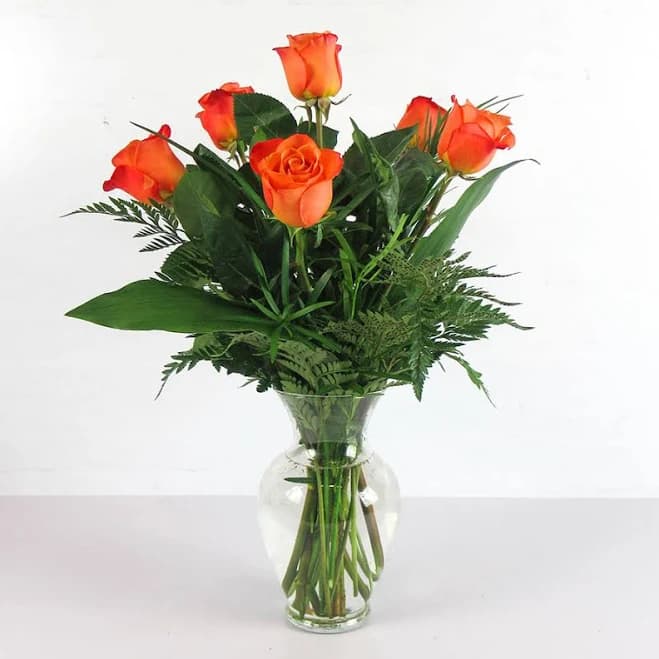 Premium Half Dozen Long-Stem Orange Roses