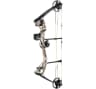 Video frame trigger