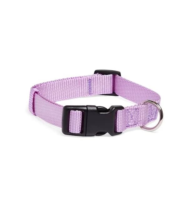 YOULY Classic Webbed Dog Collar