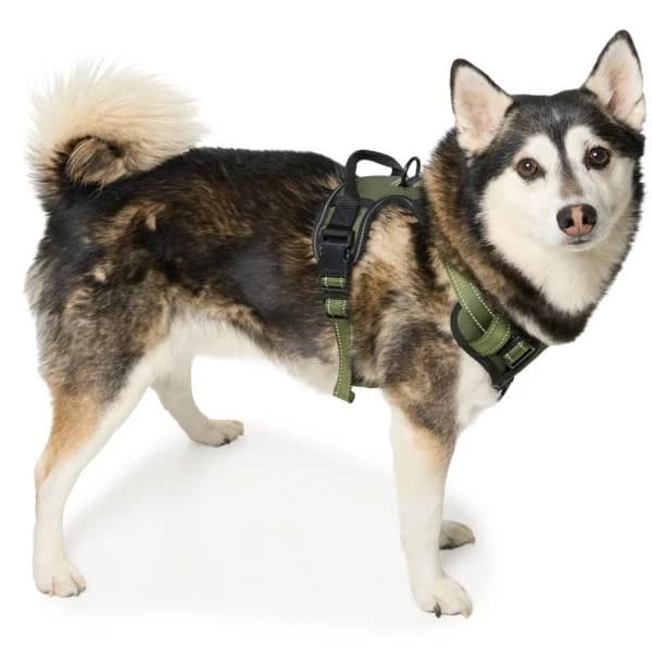 Eddie Bauer Breathable Fabric Dog Harness