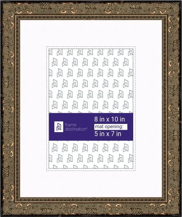 Ornate Picture Frame and Mat P573