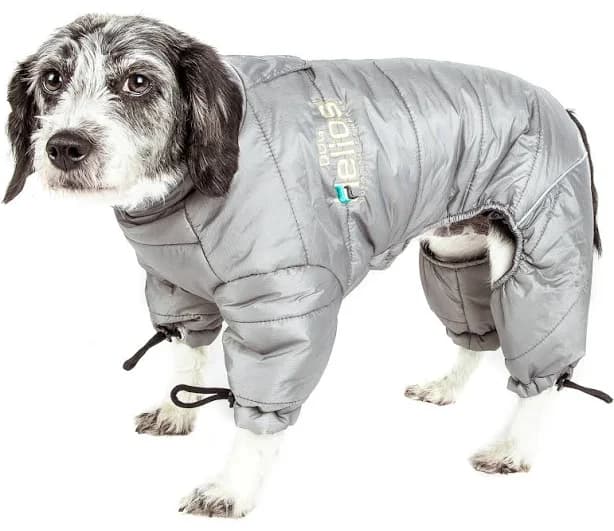 Dog Helios Thunder-crackle Full-Body Waded-Plush Adjustable and 3M Reflective Jacket