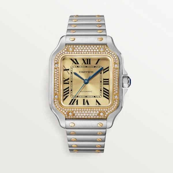 Cartier Santos De Cartier