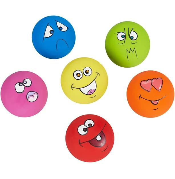 Coricorsu Squeaky Dog Toy