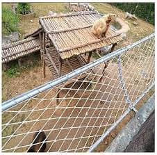 Amazon.com: Red de seguridad para niños, Red de balcón al aire libre Red de seguridad para niños, Escalera de balcón Red anticaída Red anti-gato, Red decorativa blanca de malla protectora de jardín :