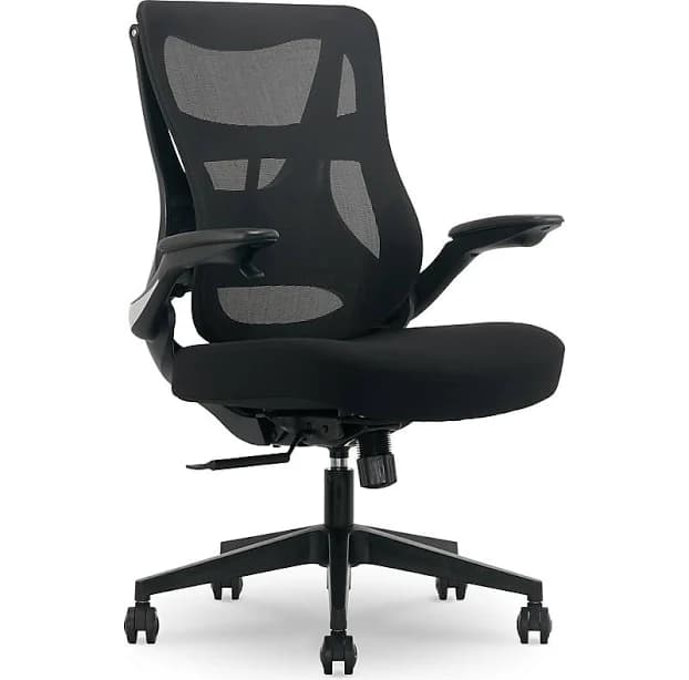 Beautyrest ErgoMax Ergonomic Mesh Swivel Task Chair