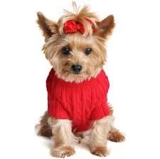 Red Cable Knit Dog Sweater