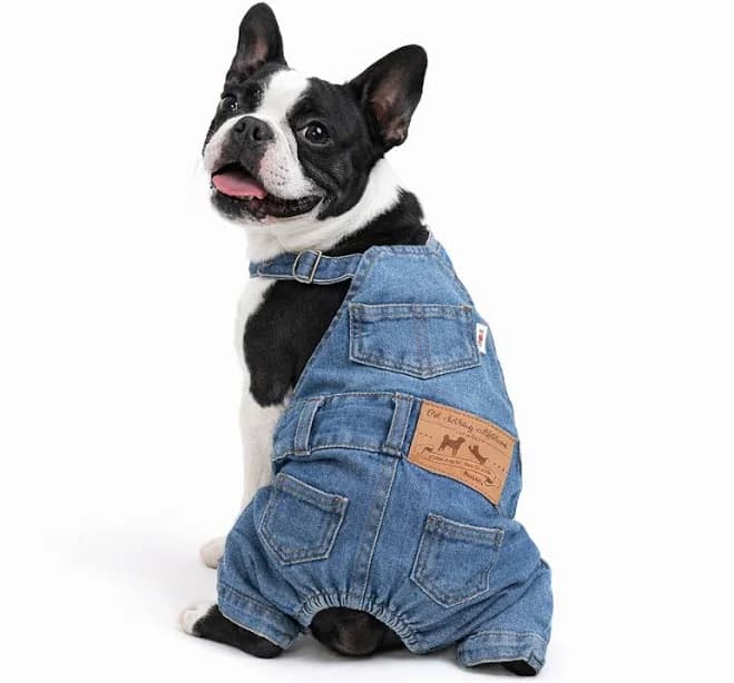 Dog Shirts Clothes Denim Overalls, Pet Jeans Onesies Apparel, Puppy Fashion Comfortable Blue Pants Clothing for Dogs Cats Boy Girl (Blue, Medium)