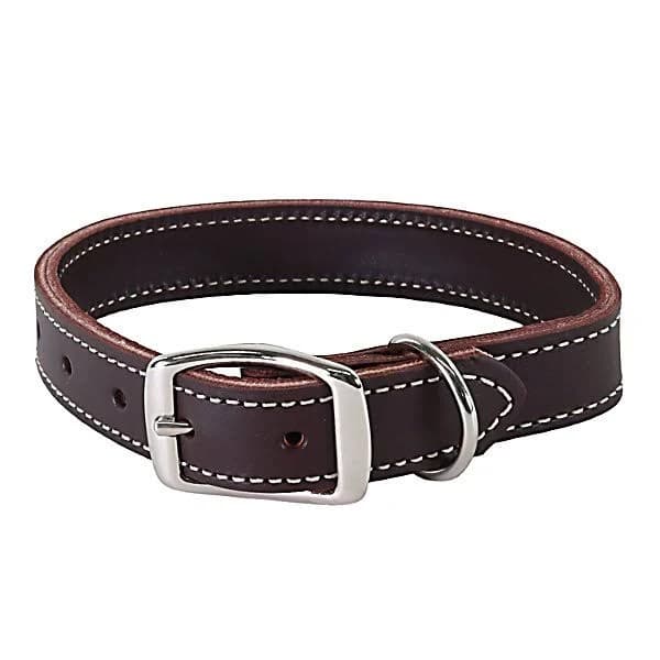 Tractor Supply Co Camo Leather Dog Collar