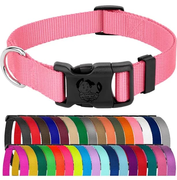 Country Brook Petz American Made Deluxe Nylon Dog Collar
