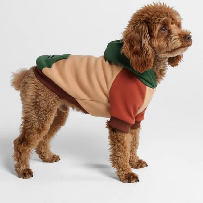 Spark Paws Ranger Dog Hoodie
