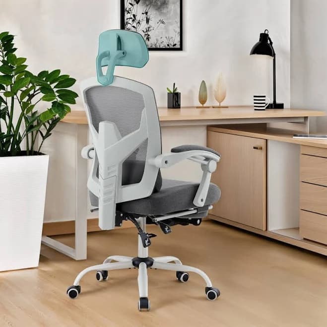 Ebern Designs Lienhardt Home Office Ergonomic Mesh Task Chair