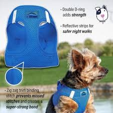 Doggie Design American River Ultra Choke-Free Dog Harness - Cobalt Blue (XXS) : Amazon.com.au: Pet Supplies